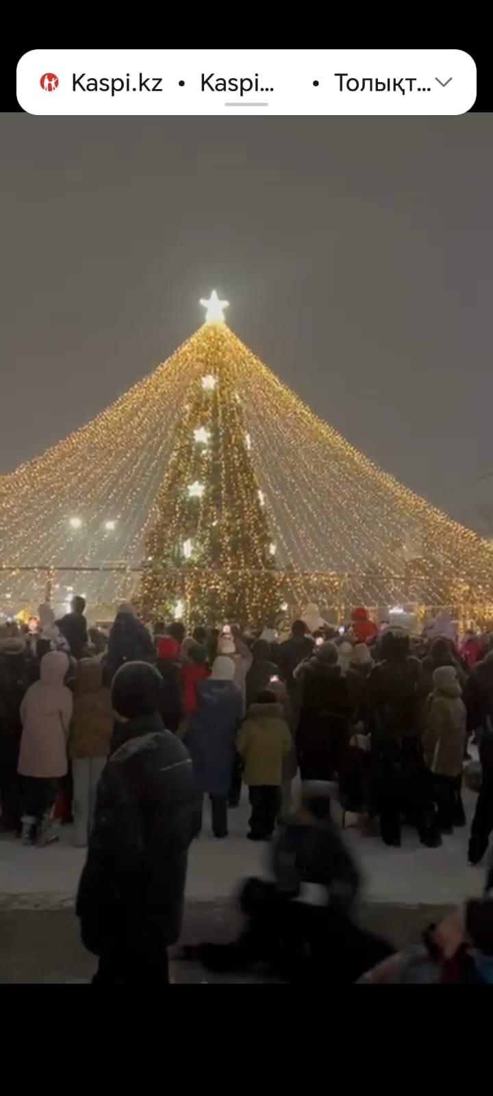 НОВОГОДНЯЯ ЁЛКА СИЯЕТ