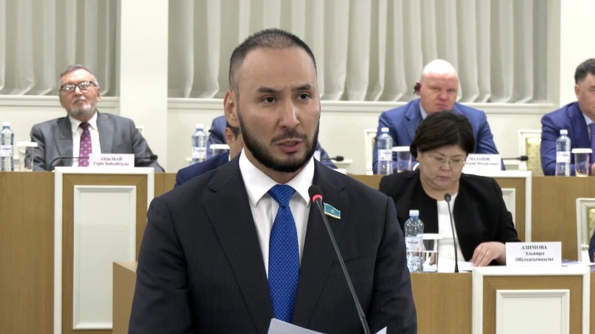 Respublica партиясының жетекшісі жаңа Конституцияның жобасын референдумға шығаруды ұсынды