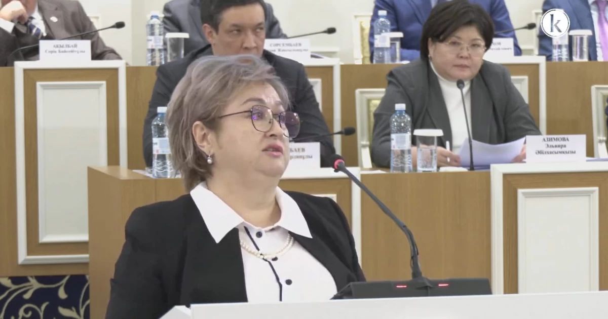 Индира Аубакирова: четкое определение прав человека и гражданина – важный вопрос, общий для всех