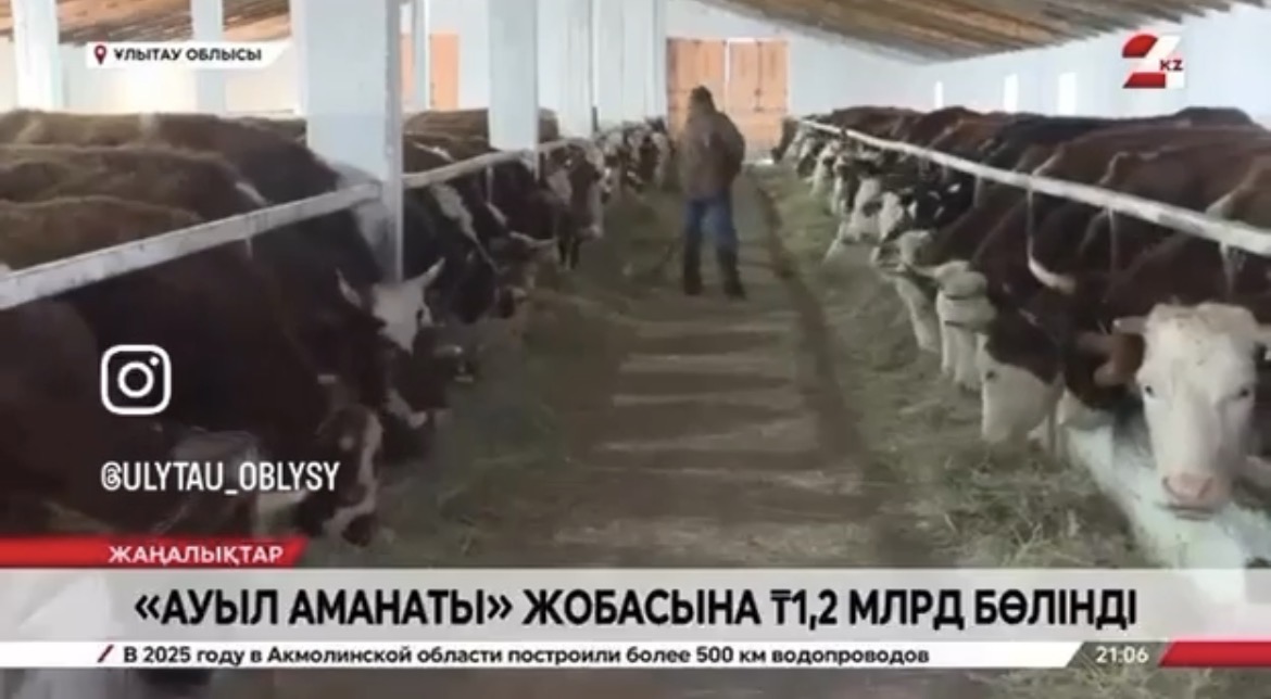 В области Ұлытау в рамках программы «Ауыл аманаты» развивается сельское предпринимательство