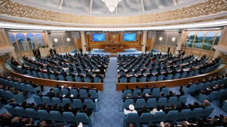 Бір палаталы парламенттің құрылуы және оның маңызы