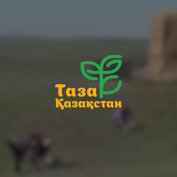 «ТАЗА ҚАЗАҚСТАН»: В ОБЛАСТИ ҰЛЫТАУ ПРОШЛА МАСШТАБНАЯ УБОРКА