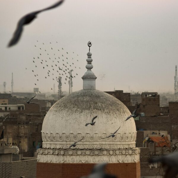 birds, religion, nature, islam