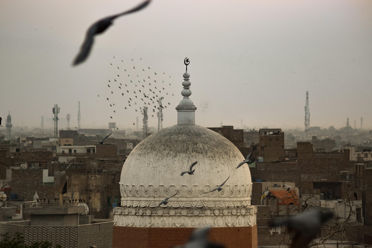 birds, religion, nature, islam
