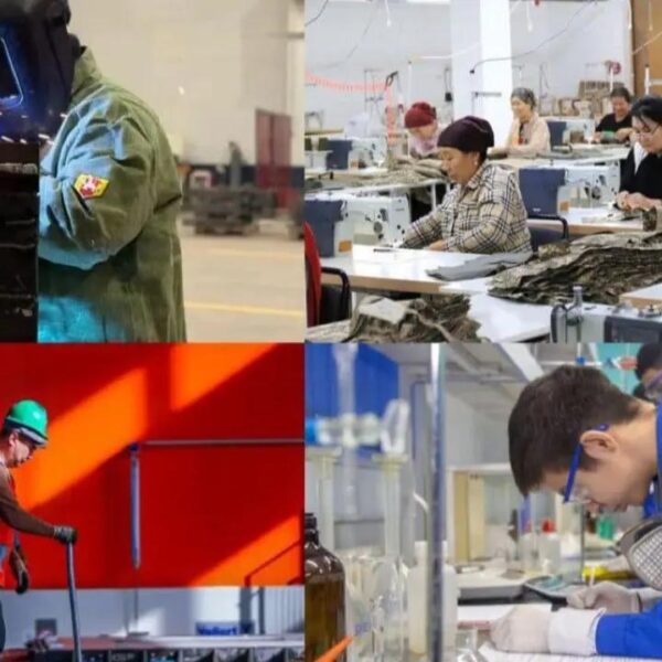 Жұмысшы мамандықтар жылы