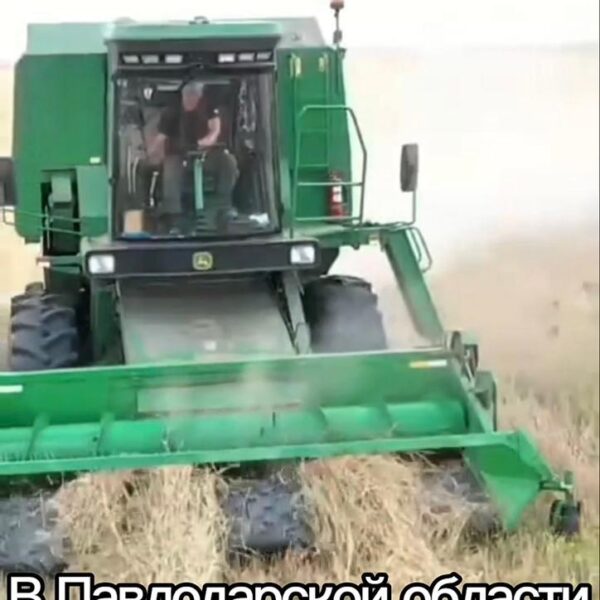 В Павлодарской области продолжается массовая уборка урожая