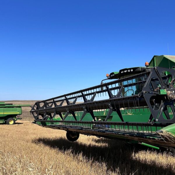 🌾 Ұлытау облысында егін жинау науқаны басталды