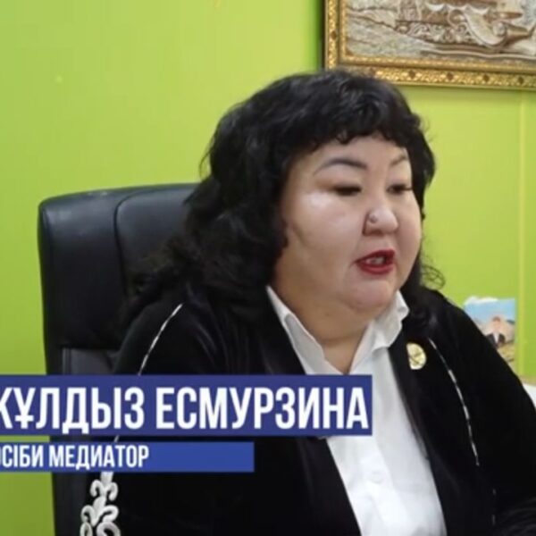 📹 Президент жолдауы / Ж.Есмурзина