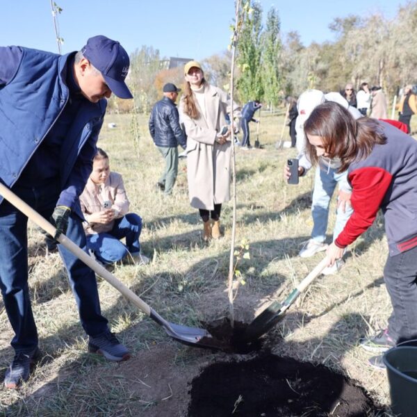 Ұлытау облысында 3000-нан аса ағаш отырғызылды