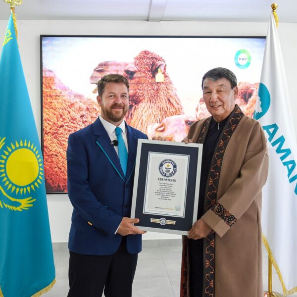 Рекорд подтверждён: караван из тысячи верблюдов в Алматинской области официально вошёл в Книгу рекордов Гиннесса.